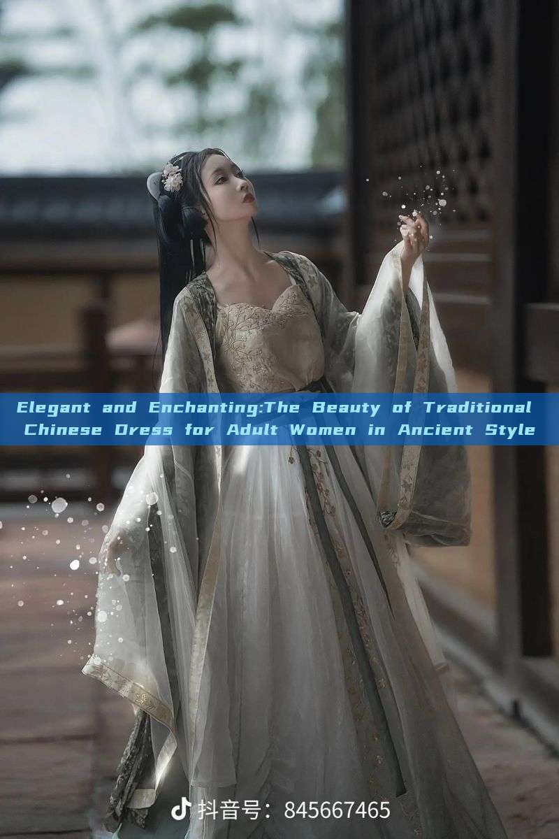 Elegant and Enchanting:The Beauty of Traditional Chinese Dress for Adult Women in Ancient Style Elegant and Enchanting:The Beauty of Traditional Chinese Dress for Adult Women in Ancient Style