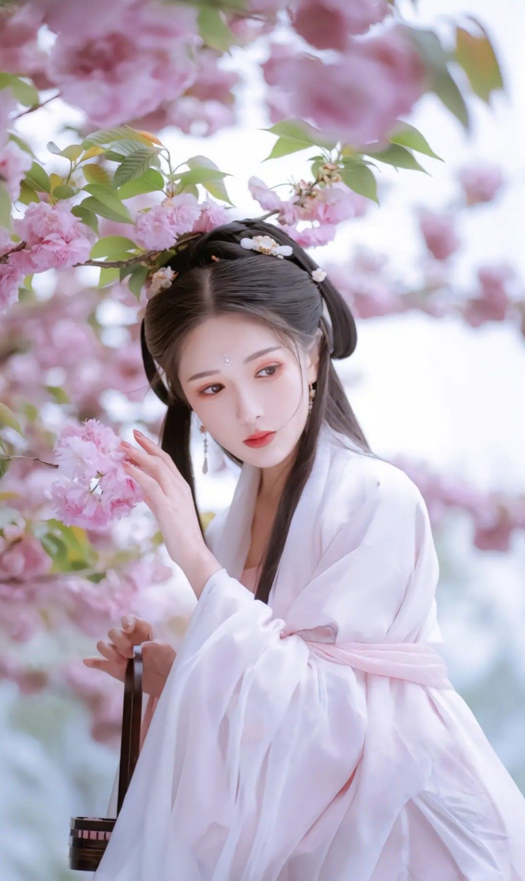 The Splendor of Golden Cup and Jade Platform:A Journey into the World of Hanfu 汉服) The Splendor of Golden Cup and Jade Platform:A Journey into the World of Hanfu 汉服)