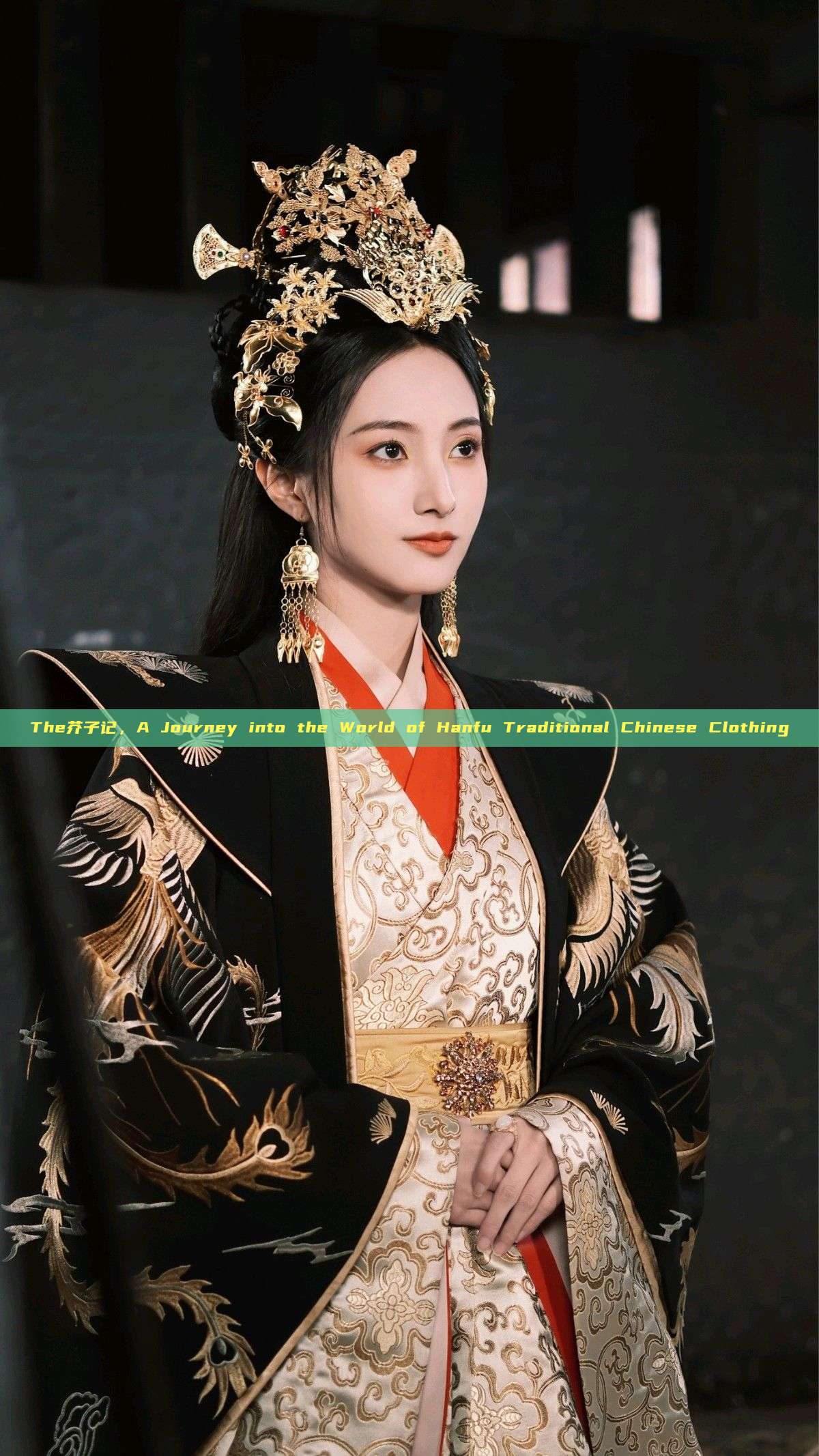 The芥子记,A Journey into the World of Hanfu Traditional Chinese Clothing The芥子记,A Journey into the World of Hanfu Traditional Chinese Clothing