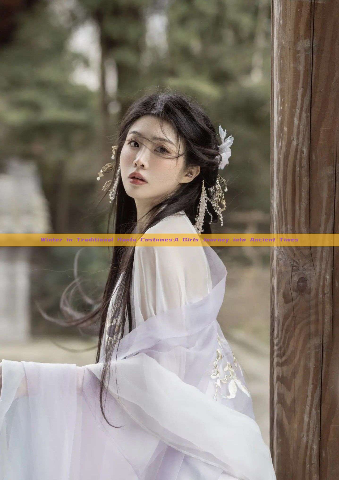 Winter in Traditional Hanfu Costumes:A Girls Journey into Ancient Times Winter in Traditional Hanfu Costumes:A Girls Journey into Ancient Times
