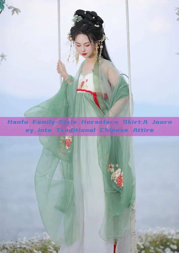 Hanfu Family-Style Horseface Skirt:A Journey into Traditional Chinese Attire Hanfu Family-Style Horseface Skirt:A Journey into Traditional Chinese Attire