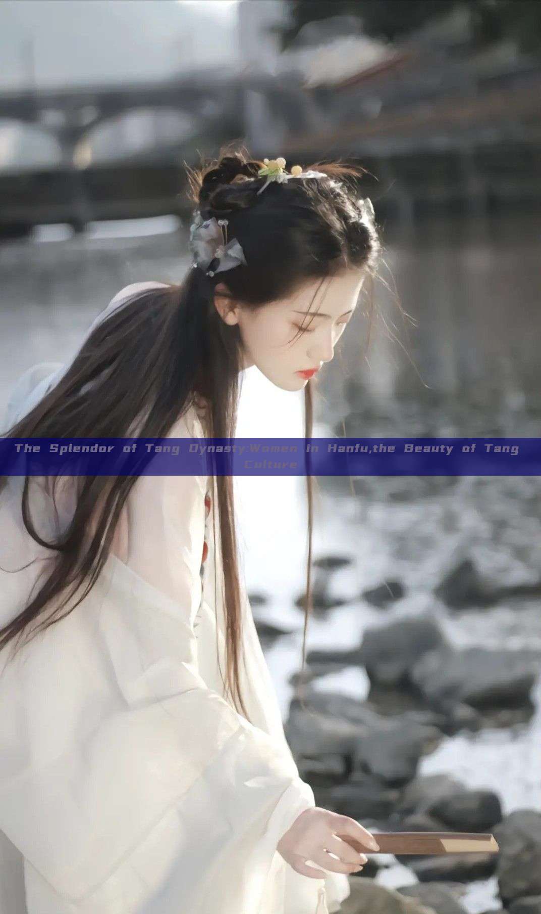 The Splendor of Tang Dynasty:Women in Hanfu,the Beauty of Tang Culture The Splendor of Tang Dynasty:Women in Hanfu,the Beauty of Tang Culture