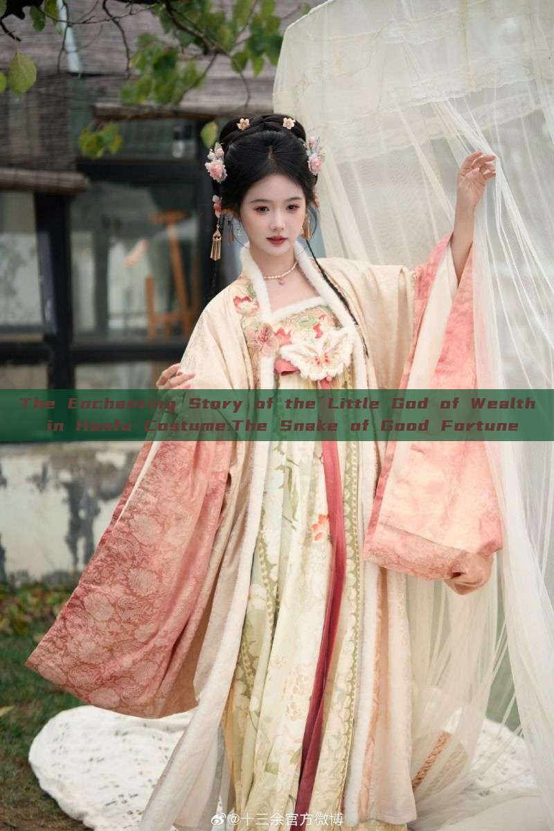 The Enchanting Story of the Little God of Wealth in Hanfu Costume:The Snake of Good Fortune The Enchanting Story of the Little God of Wealth in Hanfu Costume:The Snake of Good Fortune