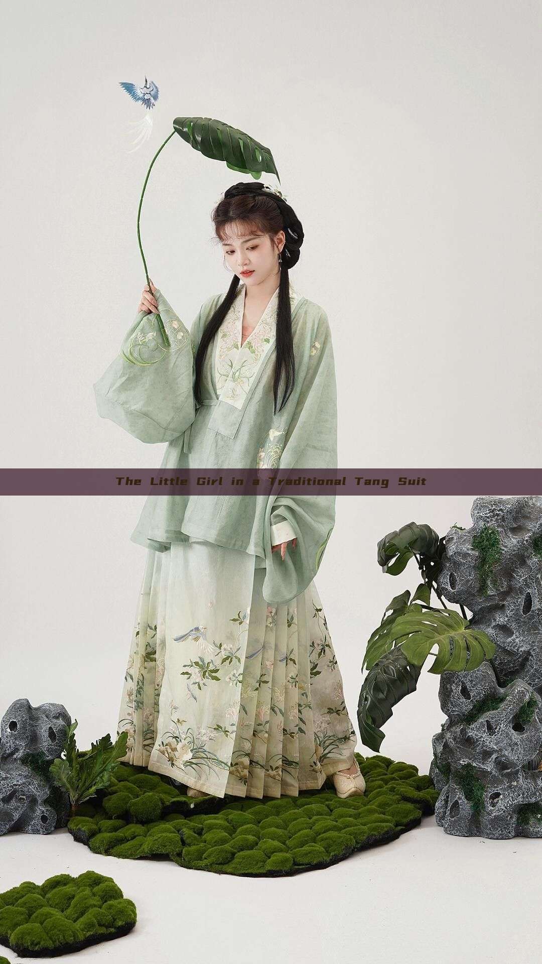 The Little Girl in a Traditional Tang Suit The Little Girl in a Traditional Tang Suit