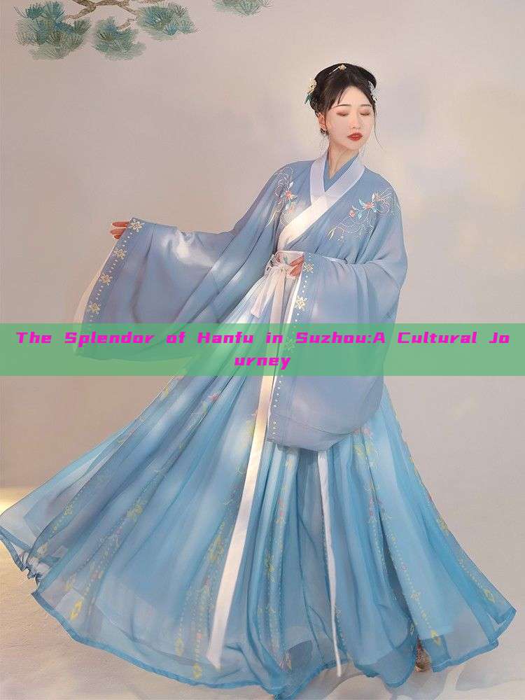 The Splendor of Hanfu in Suzhou:A Cultural Journey The Splendor of Hanfu in Suzhou:A Cultural Journey