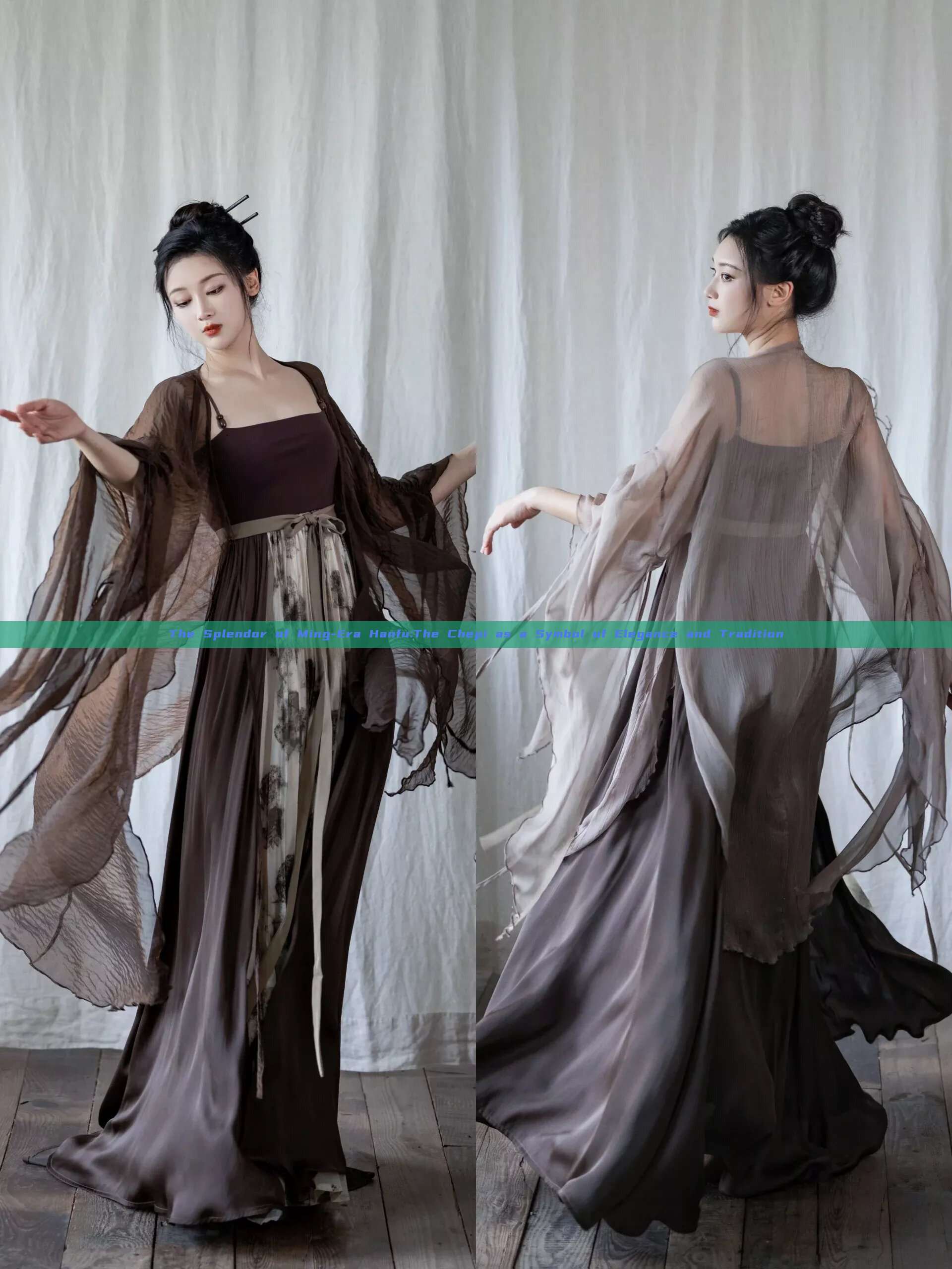 The Splendor of Ming-Era Hanfu:The Chepi as a Symbol of Elegance and Tradition