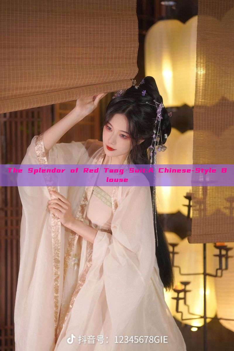 The Splendor of Red Tang Suit:A Chinese-Style Blouse The Splendor of Red Tang Suit:A Chinese-Style Blouse
