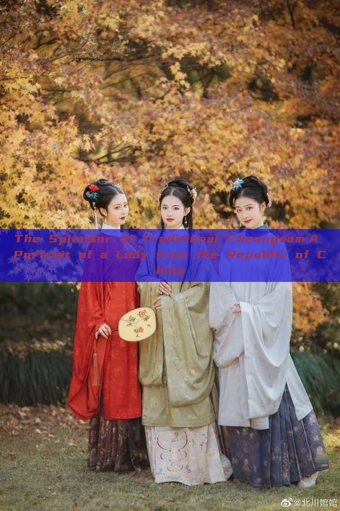 The Splendor of Traditional Cheongsam:A Portrait of a Lady from the Republic of China The Splendor of Traditional Cheongsam:A Portrait of a Lady from the Republic of China