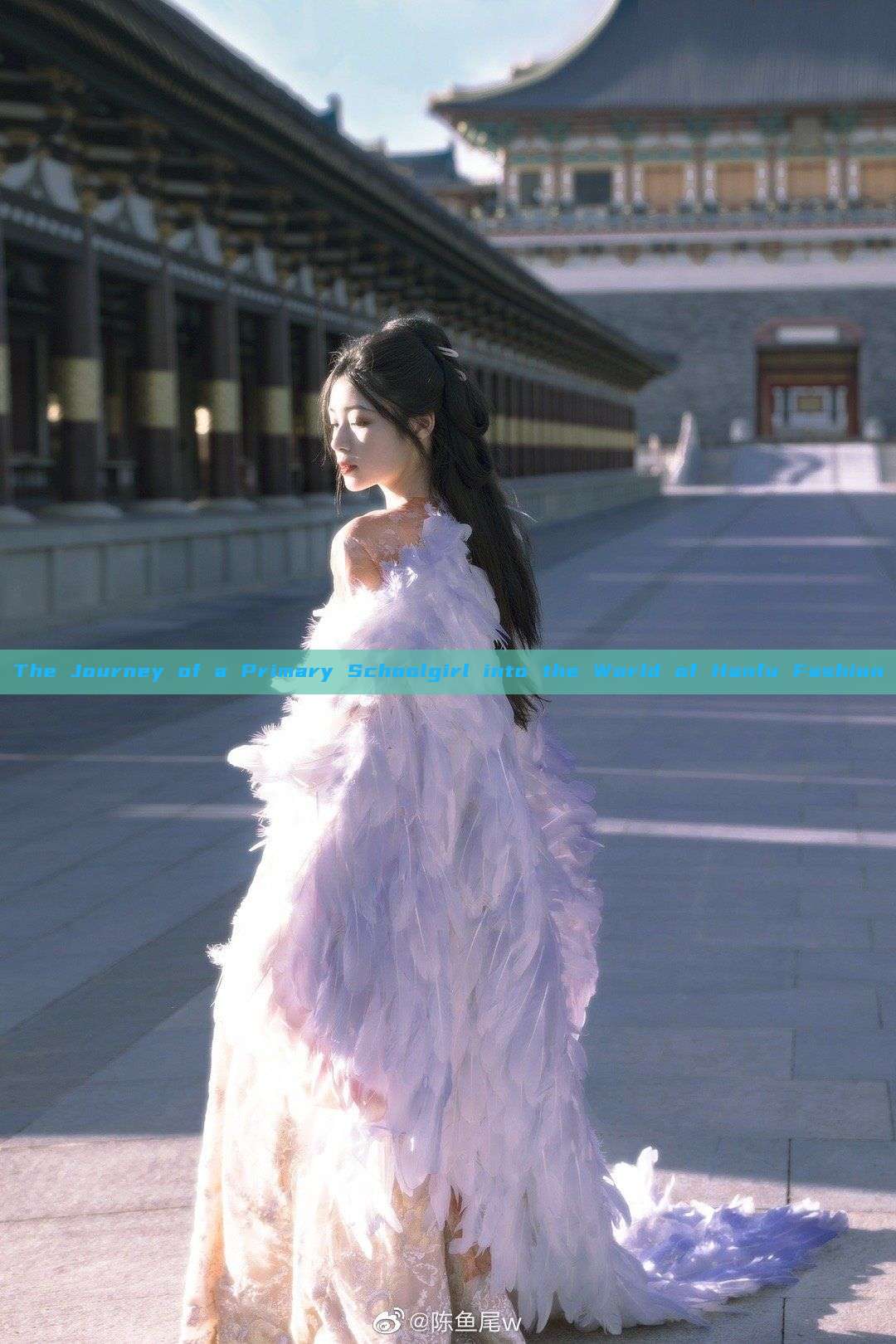 The Journey of a Primary Schoolgirl into the World of Hanfu Fashion The Journey of a Primary Schoolgirl into the World of Hanfu Fashion