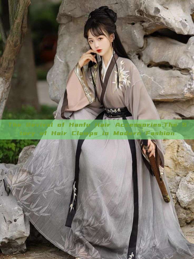 The Revival of Hanfu Hair Accessories:The Story of Hair Clamps in Modern Fashion The Revival of Hanfu Hair Accessories:The Story of Hair Clamps in Modern Fashion