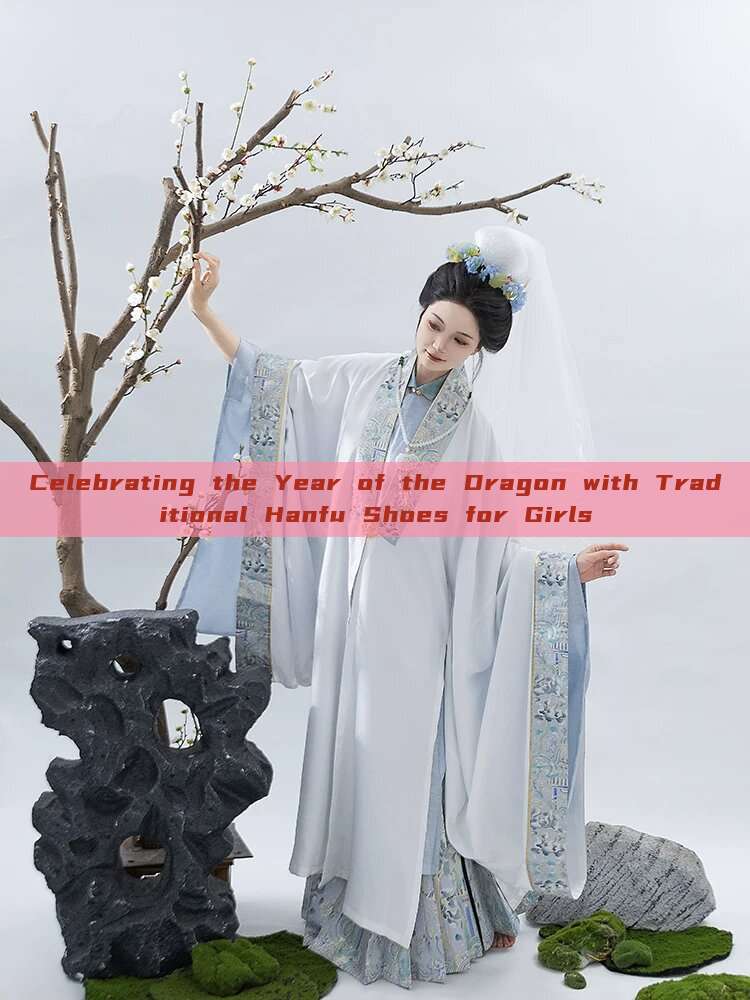 Celebrating the Year of the Dragon with Traditional Hanfu Shoes for Girls Celebrating the Year of the Dragon with Traditional Hanfu Shoes for Girls