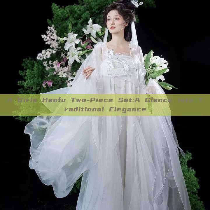 A Girls Hanfu Two-Piece Set:A Glance into Traditional Elegance A Girls Hanfu Two-Piece Set:A Glance into Traditional Elegance