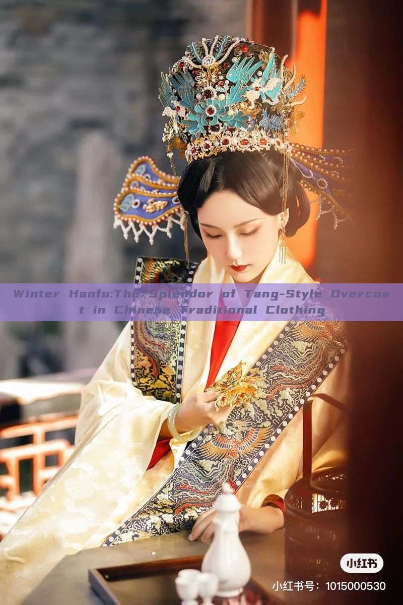 Winter Hanfu:The Splendor of Tang-Style Overcoat in Chinese Traditional Clothing Winter Hanfu:The Splendor of Tang-Style Overcoat in Chinese Traditional Clothing