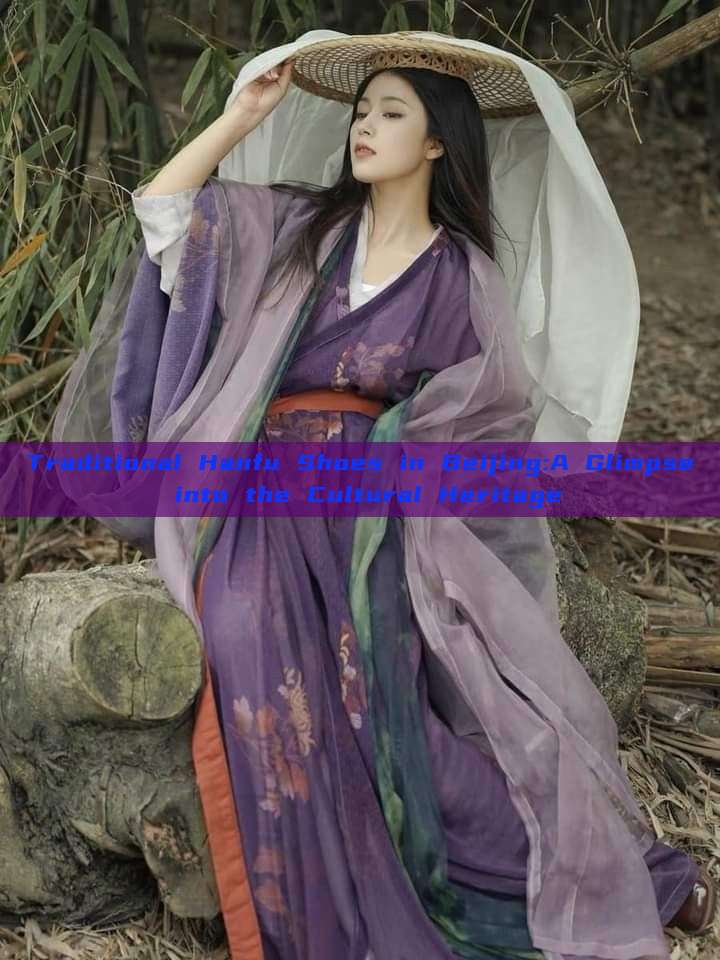 Traditional Hanfu Shoes in Beijing:A Glimpse into the Cultural Heritage Traditional Hanfu Shoes in Beijing:A Glimpse into the Cultural Heritage