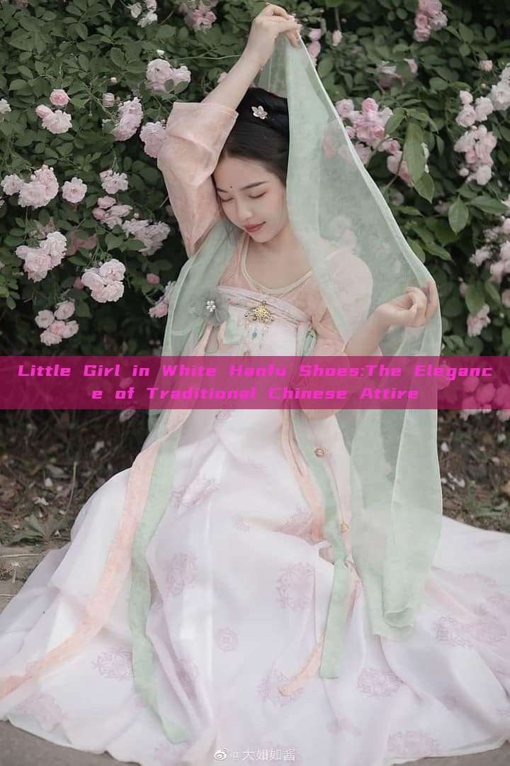Little Girl in White Hanfu Shoes:The Elegance of Traditional Chinese Attire Little Girl in White Hanfu Shoes:The Elegance of Traditional Chinese Attire