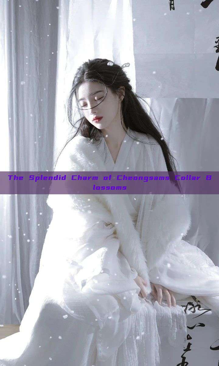 The Splendid Charm of Cheongsams Collar Blossoms The Splendid Charm of Cheongsams Collar Blossoms