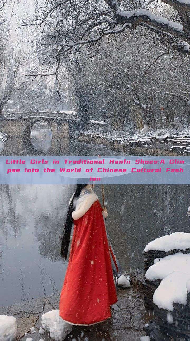 Little Girls in Traditional Hanfu Shoes:A Glimpse into the World of Chinese Cultural Fashion Little Girls in Traditional Hanfu Shoes:A Glimpse into the World of Chinese Cultural Fashion