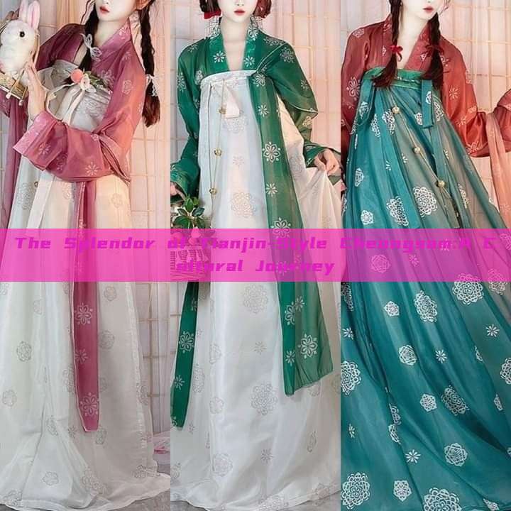 The Splendor of Tianjin-Style Cheongsam:A Cultural Journey The Splendor of Tianjin-Style Cheongsam:A Cultural Journey