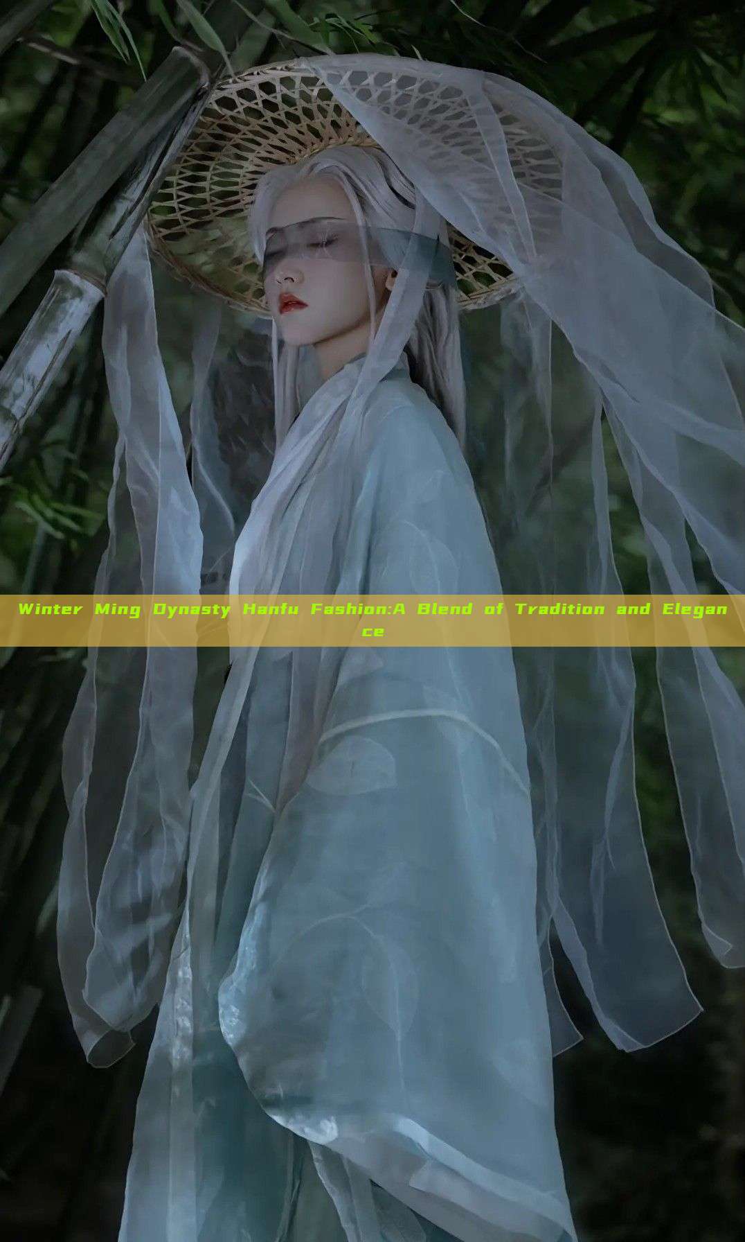 Winter Ming Dynasty Hanfu Fashion:A Blend of Tradition and Elegance