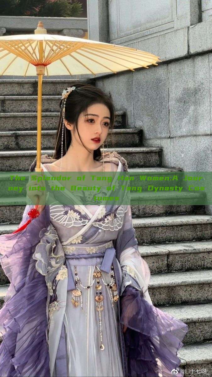 The Splendor of Tang Han Women:A Journey into the Beauty of Tang Dynasty Costumes The Splendor of Tang Han Women:A Journey into the Beauty of Tang Dynasty Costumes
