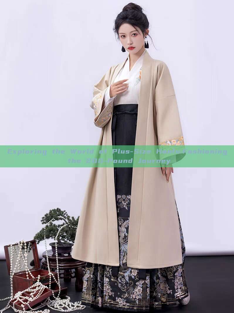 Exploring the World of Plus-Size Hanfu:Fashioning the 200-Pound Journey Exploring the World of Plus-Size Hanfu:Fashioning the 200-Pound Journey