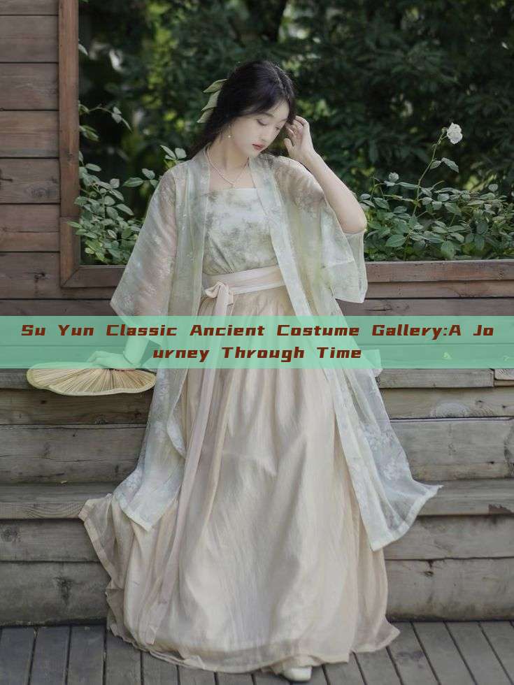 Su Yun Classic Ancient Costume Gallery:A Journey Through Time Su Yun Classic Ancient Costume Gallery:A Journey Through Time