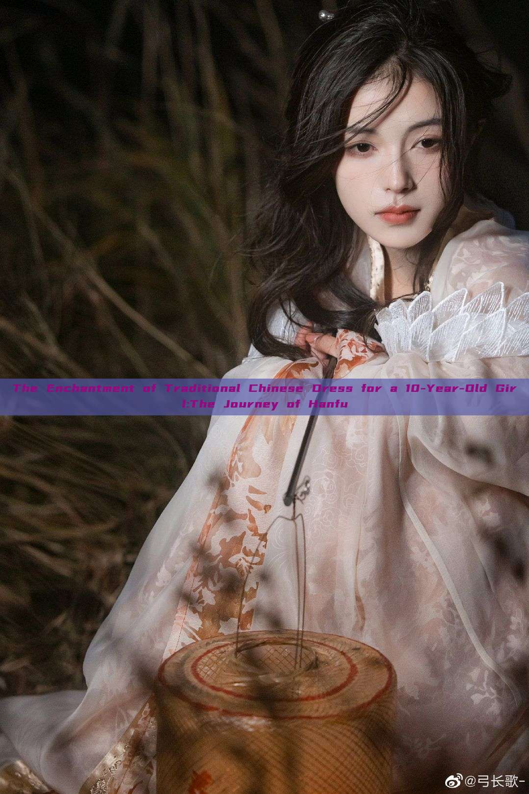 The Enchantment of Traditional Chinese Dress for a 10-Year-Old Girl:The Journey of Hanfu