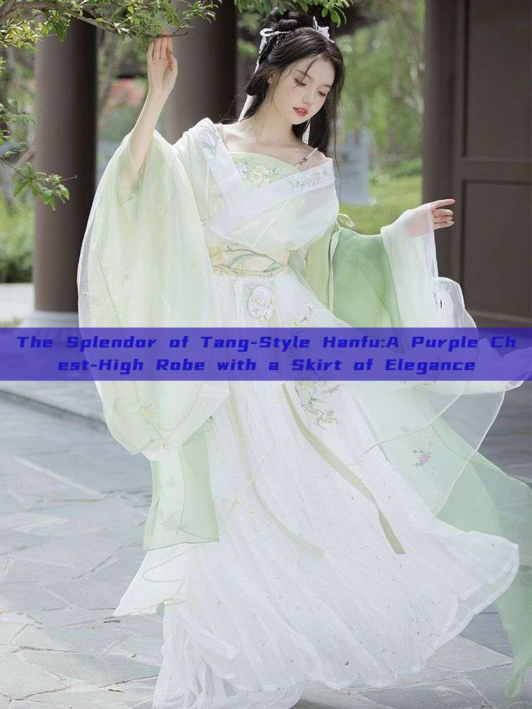 The Splendor of Tang-Style Hanfu:A Purple Chest-High Robe with a Skirt of Elegance The Splendor of Tang-Style Hanfu:A Purple Chest-High Robe with a Skirt of Elegance