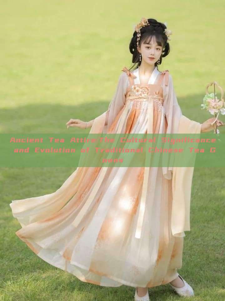 Ancient Tea Attire:The Cultural Significance and Evolution of Traditional Chinese Tea Gowns Ancient Tea Attire:The Cultural Significance and Evolution of Traditional Chinese Tea Gowns