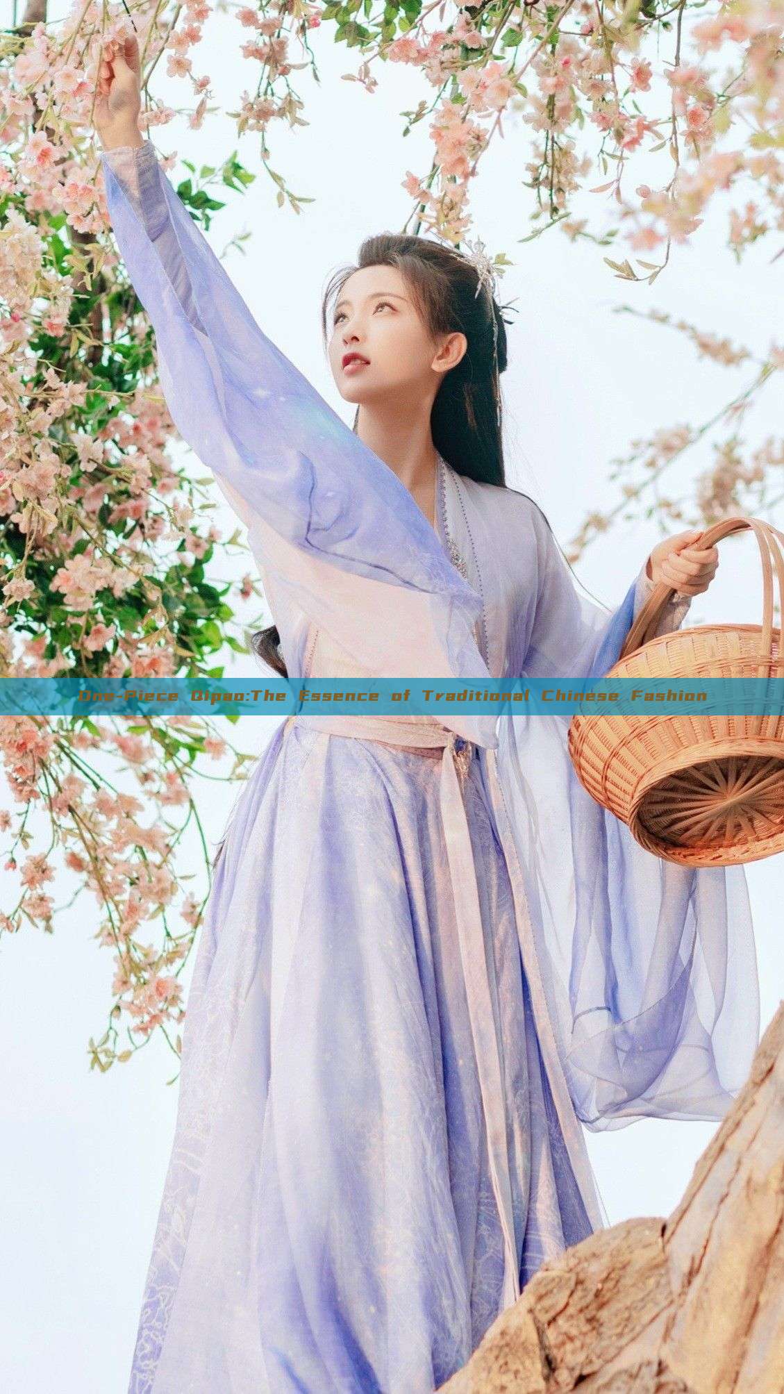 One-Piece Qipao:The Essence of Traditional Chinese Fashion One-Piece Qipao:The Essence of Traditional Chinese Fashion