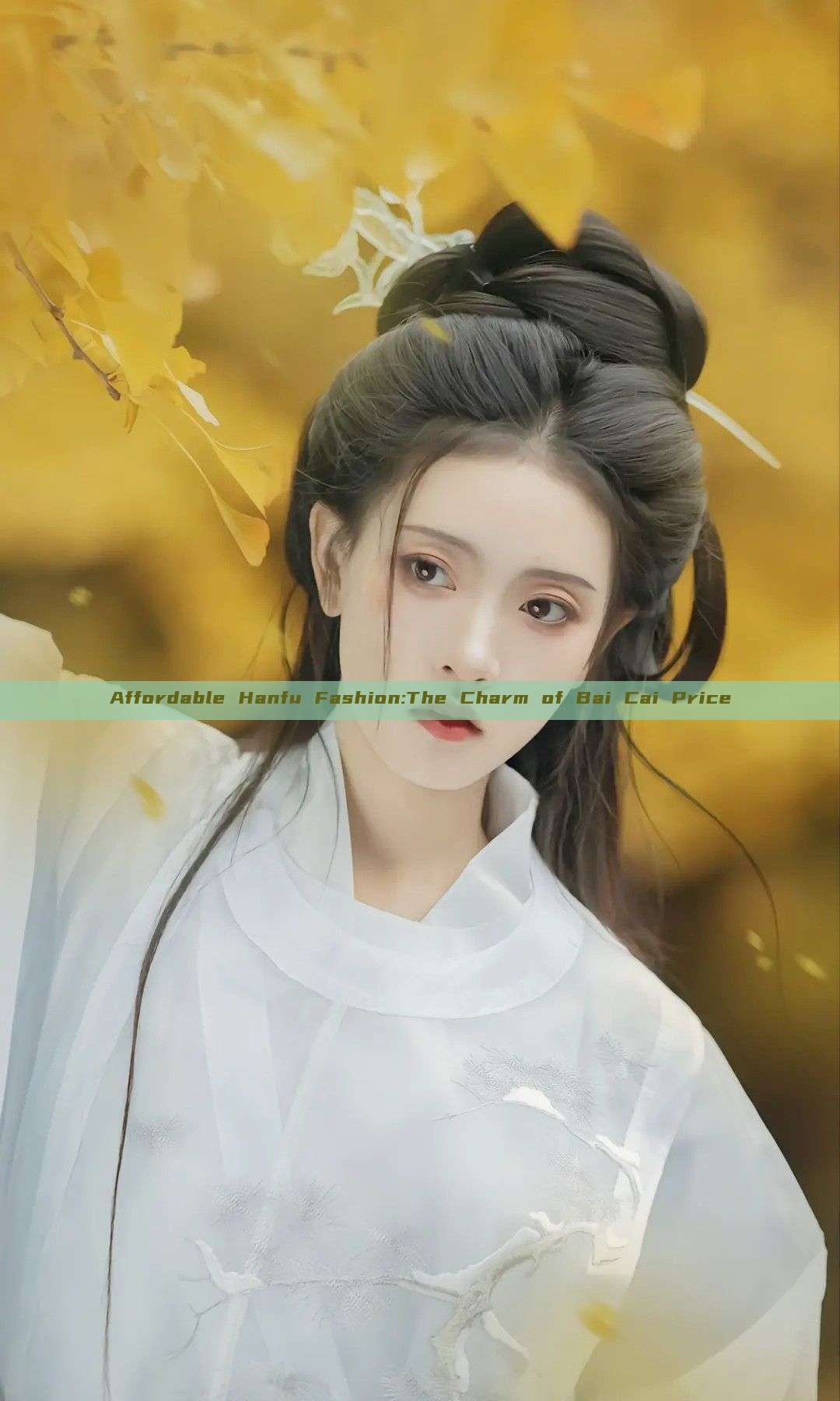 Affordable Hanfu Fashion:The Charm of Bai Cai Price Affordable Hanfu Fashion:The Charm of Bai Cai Price