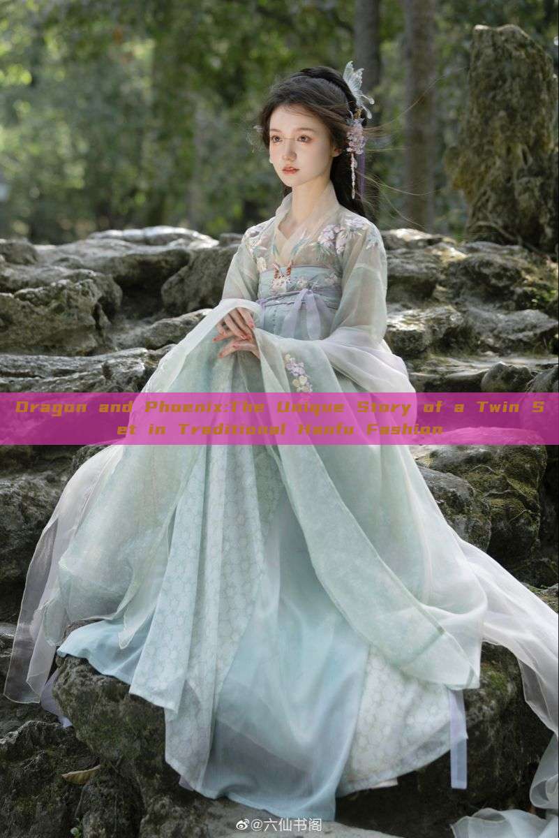 Dragon and Phoenix:The Unique Story of a Twin Set in Traditional Hanfu Fashion Dragon and Phoenix:The Unique Story of a Twin Set in Traditional Hanfu Fashion