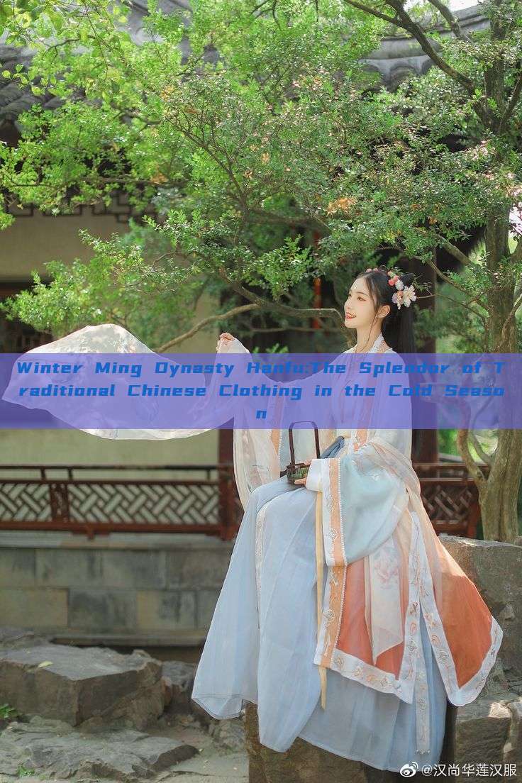 Winter Ming Dynasty Hanfu:The Splendor of Traditional Chinese Clothing in the Cold Season Winter Ming Dynasty Hanfu:The Splendor of Traditional Chinese Clothing in the Cold Season