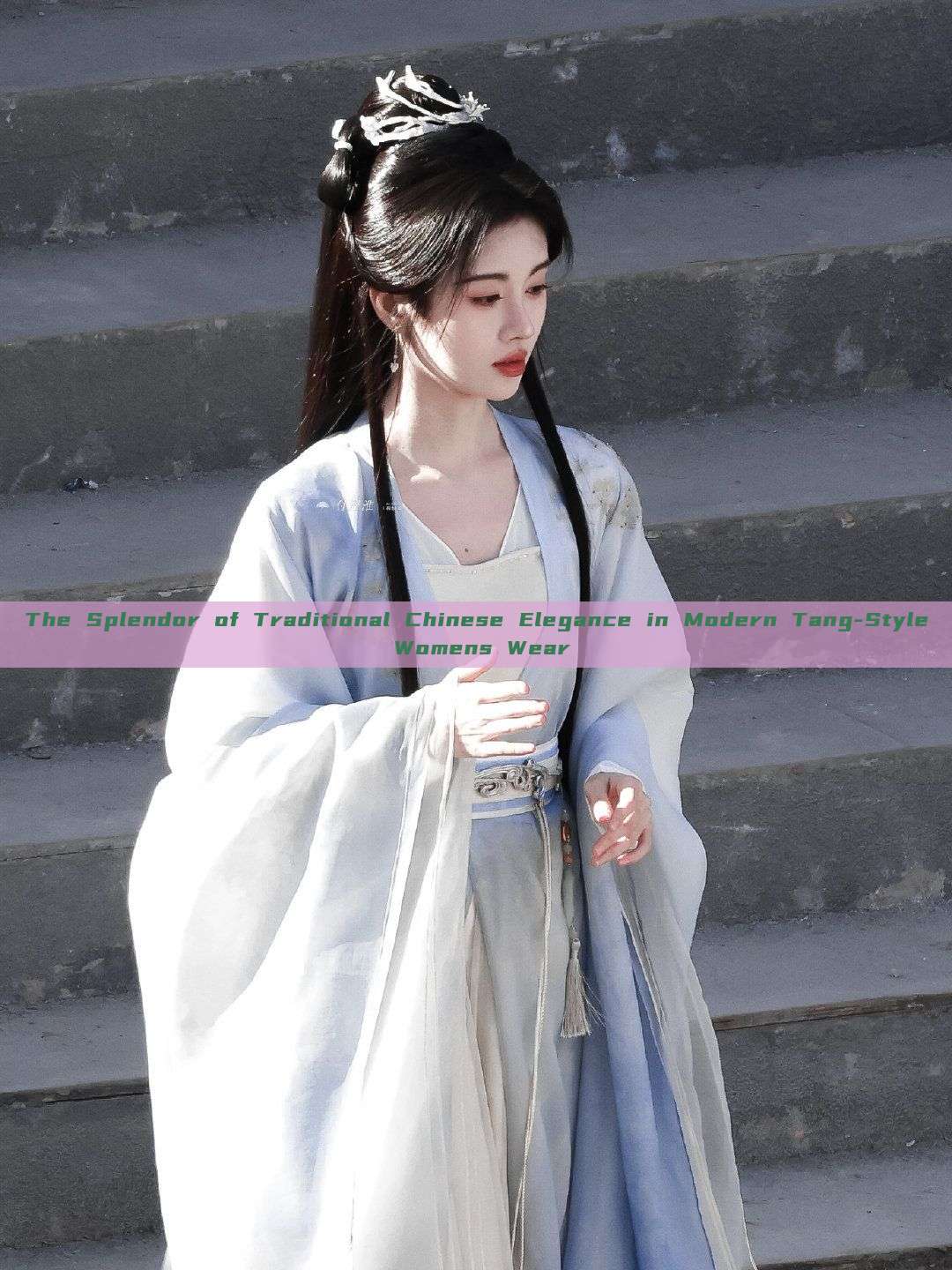 The Splendor of Traditional Chinese Elegance in Modern Tang-Style Womens Wear The Splendor of Traditional Chinese Elegance in Modern Tang-Style Womens Wear