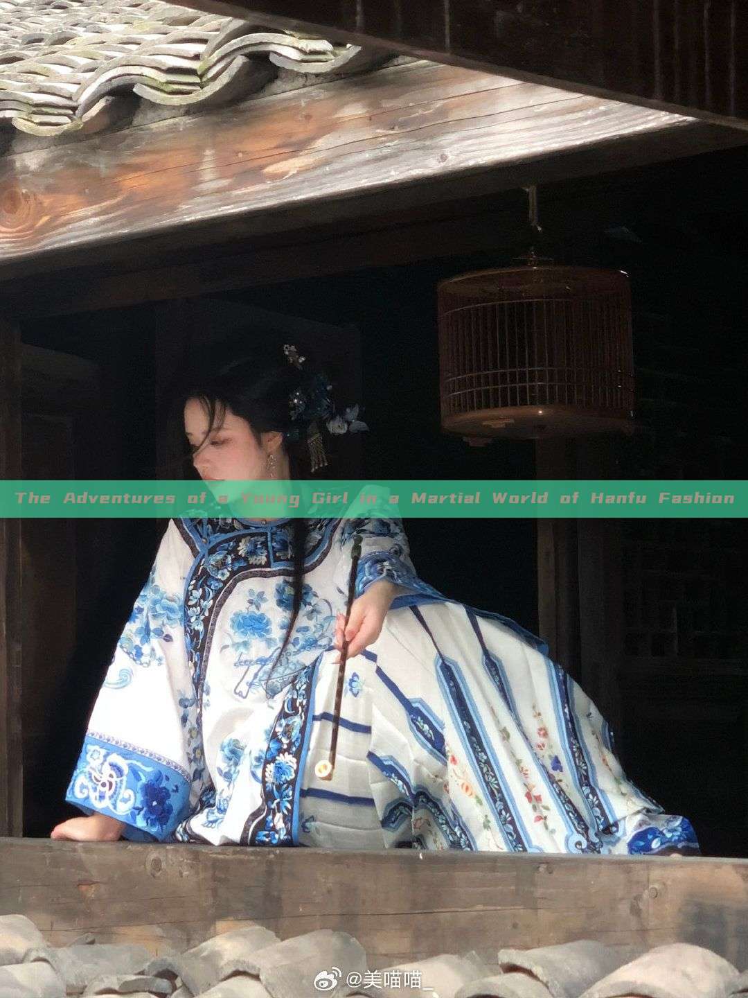 The Adventures of a Young Girl in a Martial World of Hanfu Fashion The Adventures of a Young Girl in a Martial World of Hanfu Fashion