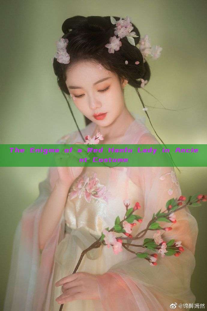The Enigma of a Red Hanfu Lady in Ancient Costume The Enigma of a Red Hanfu Lady in Ancient Costume