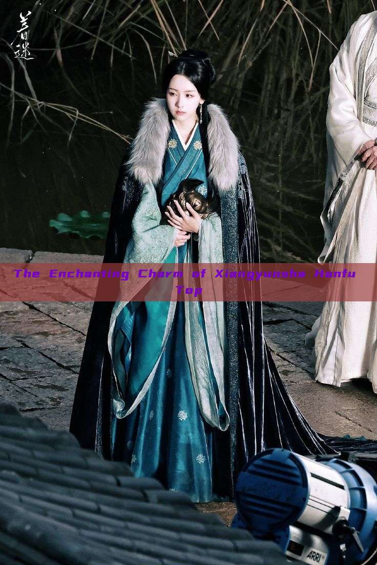 The Enchanting Charm of Xiangyunsha Hanfu Top The Enchanting Charm of Xiangyunsha Hanfu Top