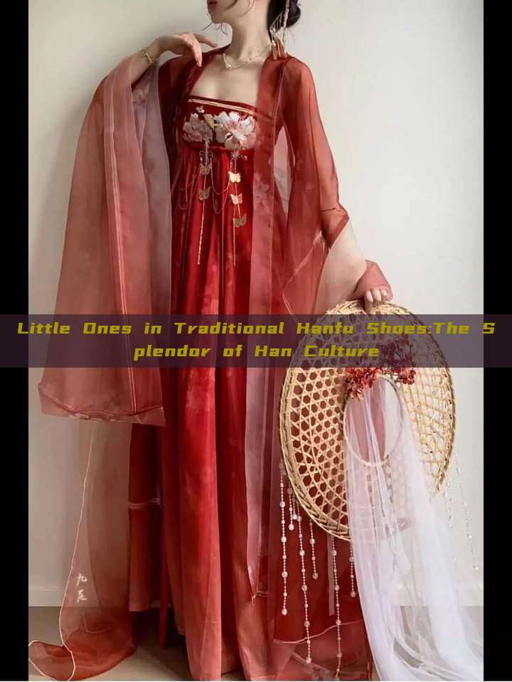 Little Ones in Traditional Hanfu Shoes:The Splendor of Han Culture Little Ones in Traditional Hanfu Shoes:The Splendor of Han Culture