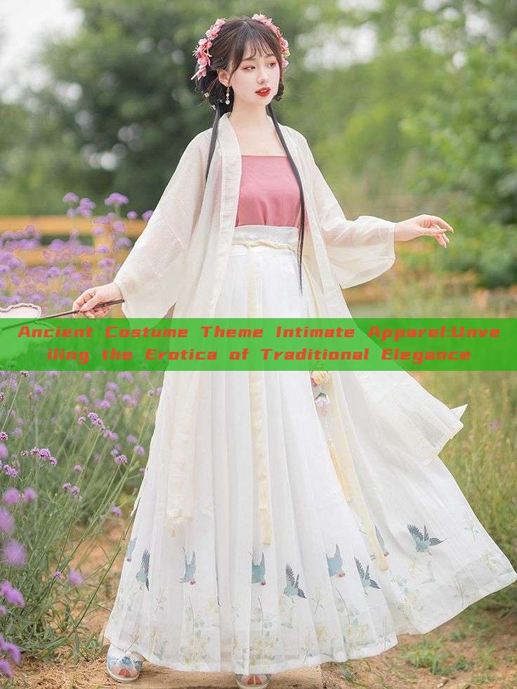 Ancient Costume Theme Intimate Apparel:Unveiling the Erotica of Traditional Elegance