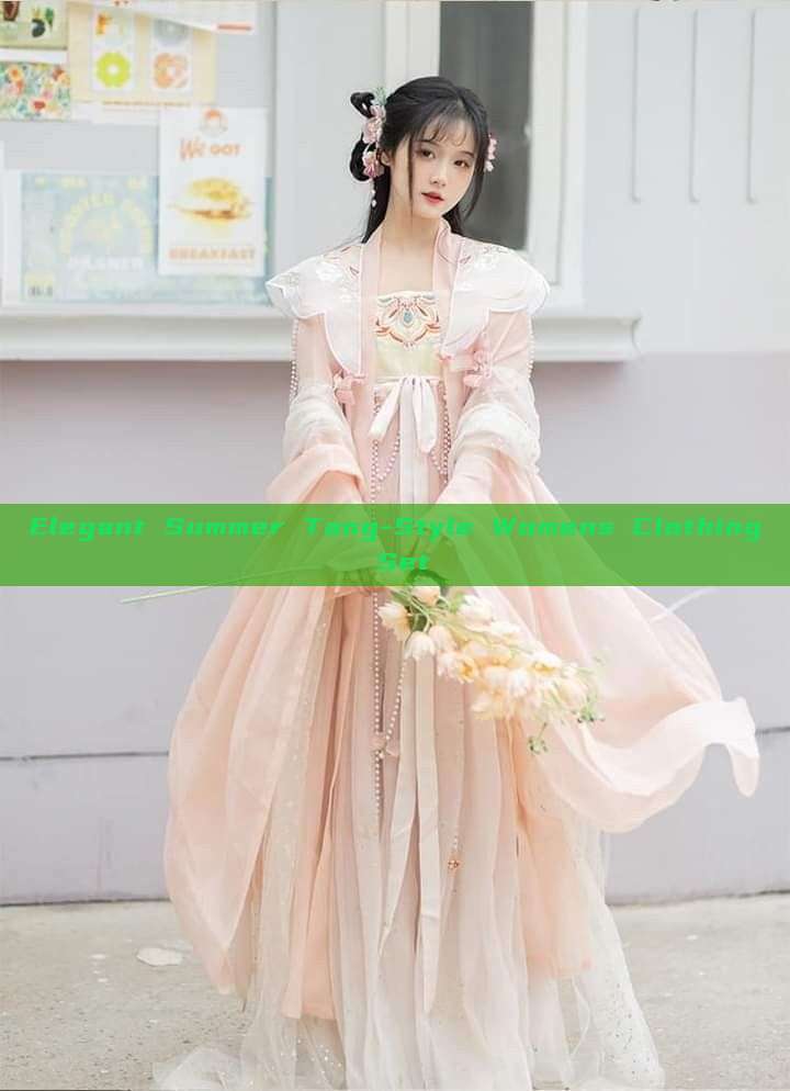 Elegant Summer Tang-Style Womens Clothing Set Elegant Summer Tang-Style Womens Clothing Set