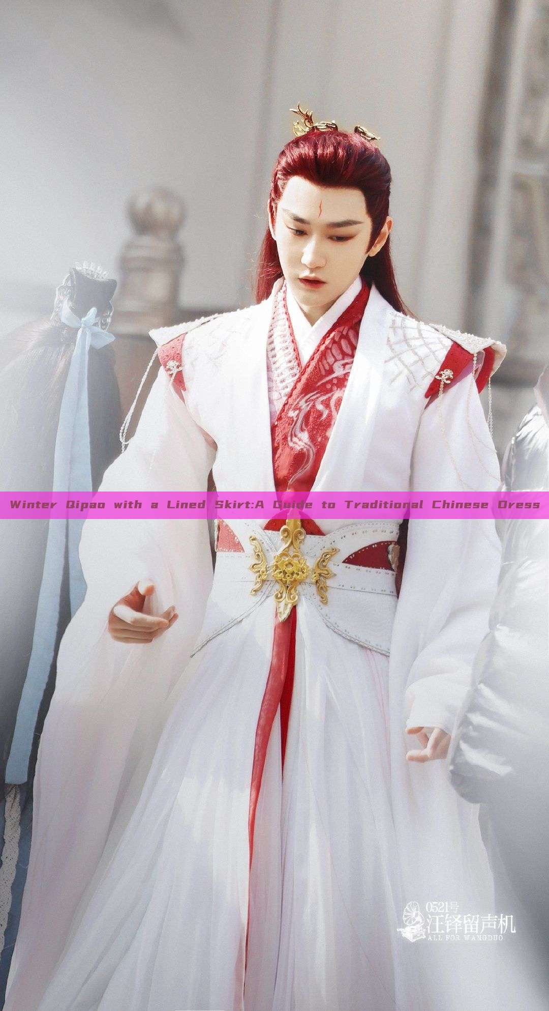Winter Qipao with a Lined Skirt:A Guide to Traditional Chinese Dress Winter Qipao with a Lined Skirt:A Guide to Traditional Chinese Dress