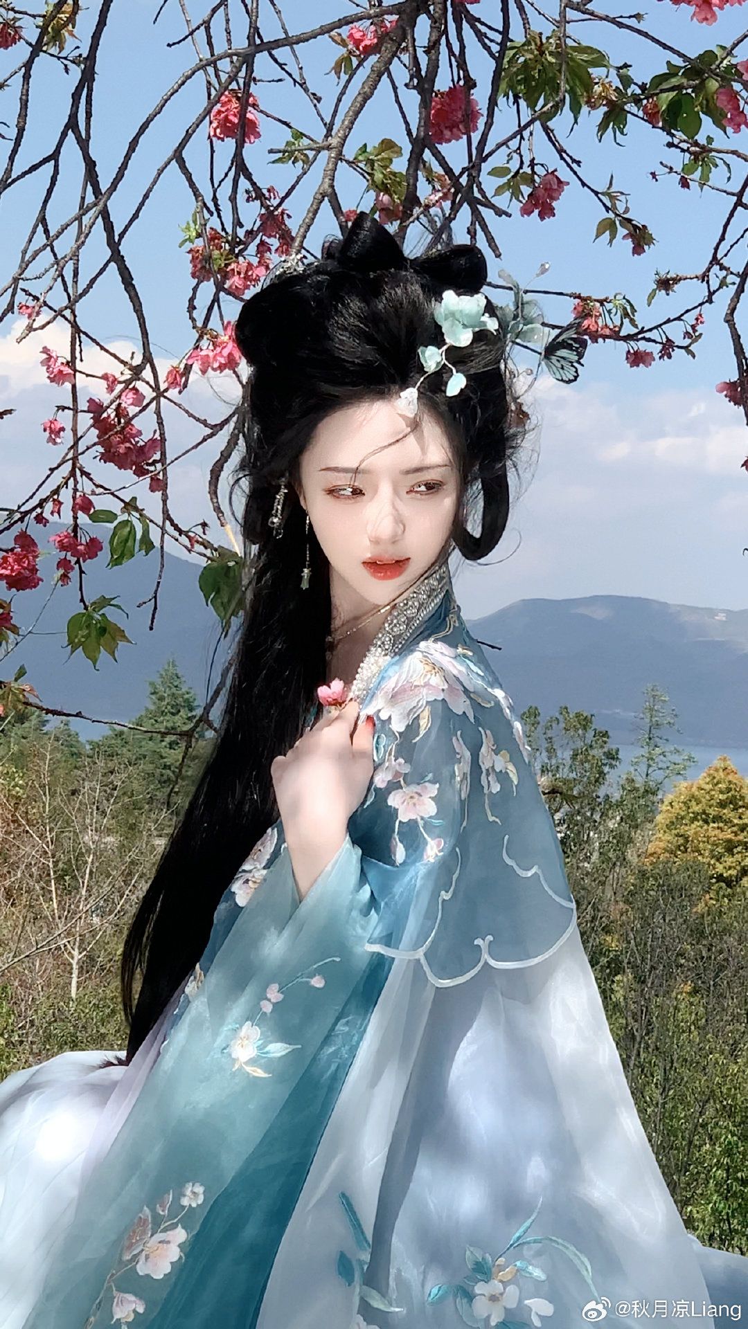 The Allure of Backless Cheongsam:A Cultural Icons Evolution The Allure of Backless Cheongsam:A Cultural Icons Evolution