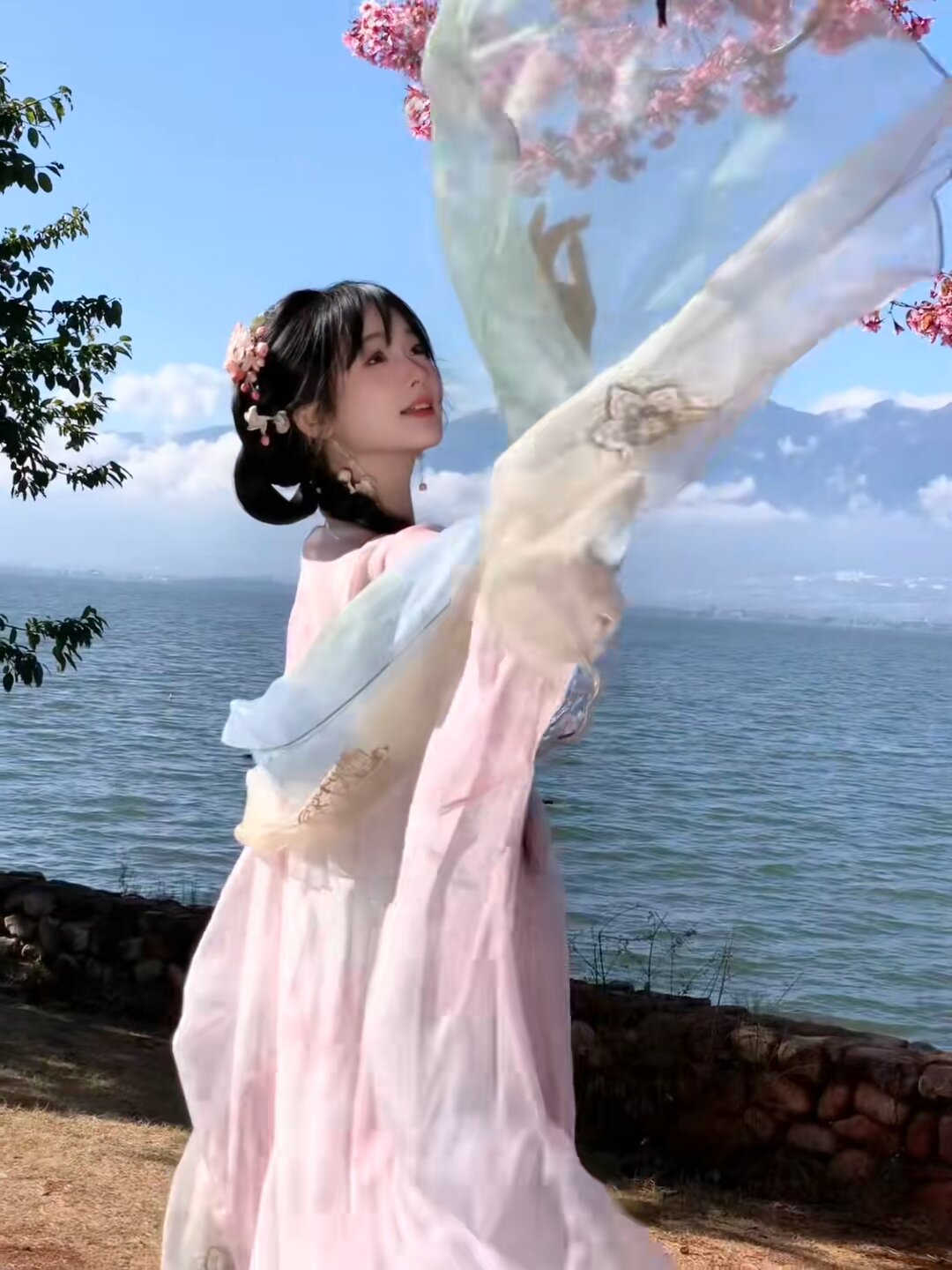 Traditional Tang-Style Hanfu Costumes for Women:A Blend of Elegance and Heritage Traditional Tang-Style Hanfu Costumes for Women:A Blend of Elegance and Heritage