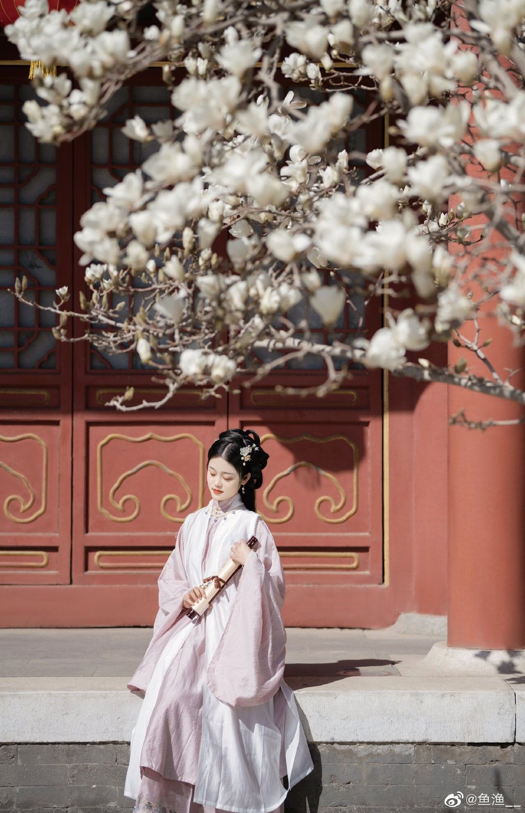Ancient Charm of Chinese Hanfu Gowns:The Elegance of Traditional Costume Ancient Charm of Chinese Hanfu Gowns:The Elegance of Traditional Costume