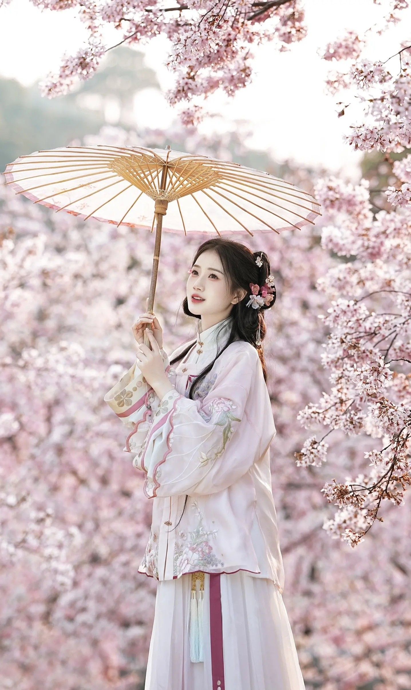 The Mid-Sleeve Cheongsam Skirt with Three-Quarter Length Sleeves and Belly-Covering Design The Mid-Sleeve Cheongsam Skirt with Three-Quarter Length Sleeves and Belly-Covering Design