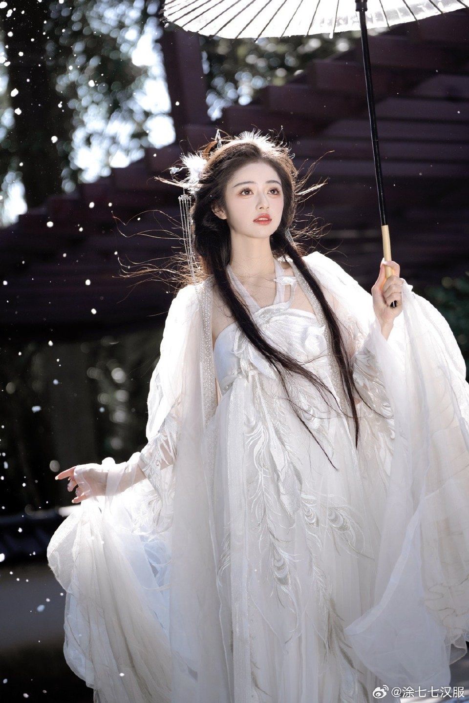 The Enigma of the Ma-E Skirt:A Journey into the World of Traditional Chinese Apparel The Enigma of the Ma-E Skirt:A Journey into the World of Traditional Chinese Apparel