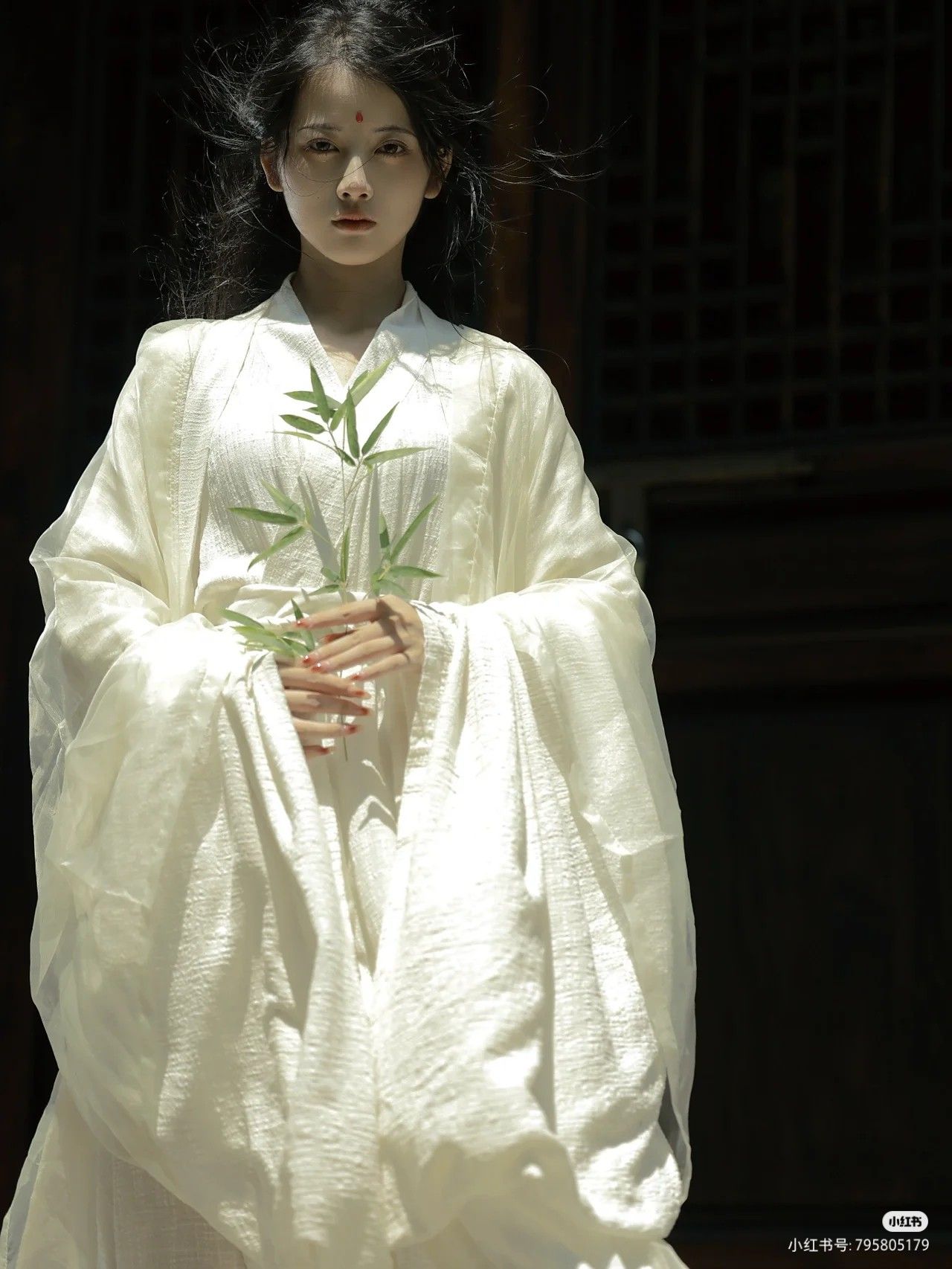 Reconstructing the Ancient Charm of Tang-Style Hanfu for Women Reconstructing the Ancient Charm of Tang-Style Hanfu for Women