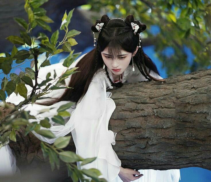 The Splendid Charm of Chinese Traditional Clothing:The Bai Cai Qi Yao Hanfu The Splendid Charm of Chinese Traditional Clothing:The Bai Cai Qi Yao Hanfu