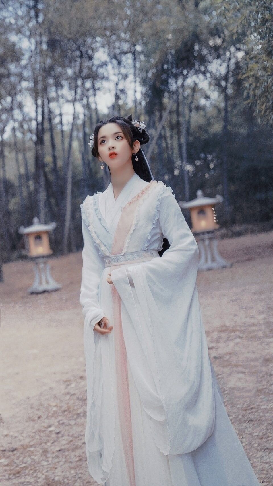 A Red Hanfu Cape for Young Girls:Embracing Traditional Elegance in Modern Times A Red Hanfu Cape for Young Girls:Embracing Traditional Elegance in Modern Times