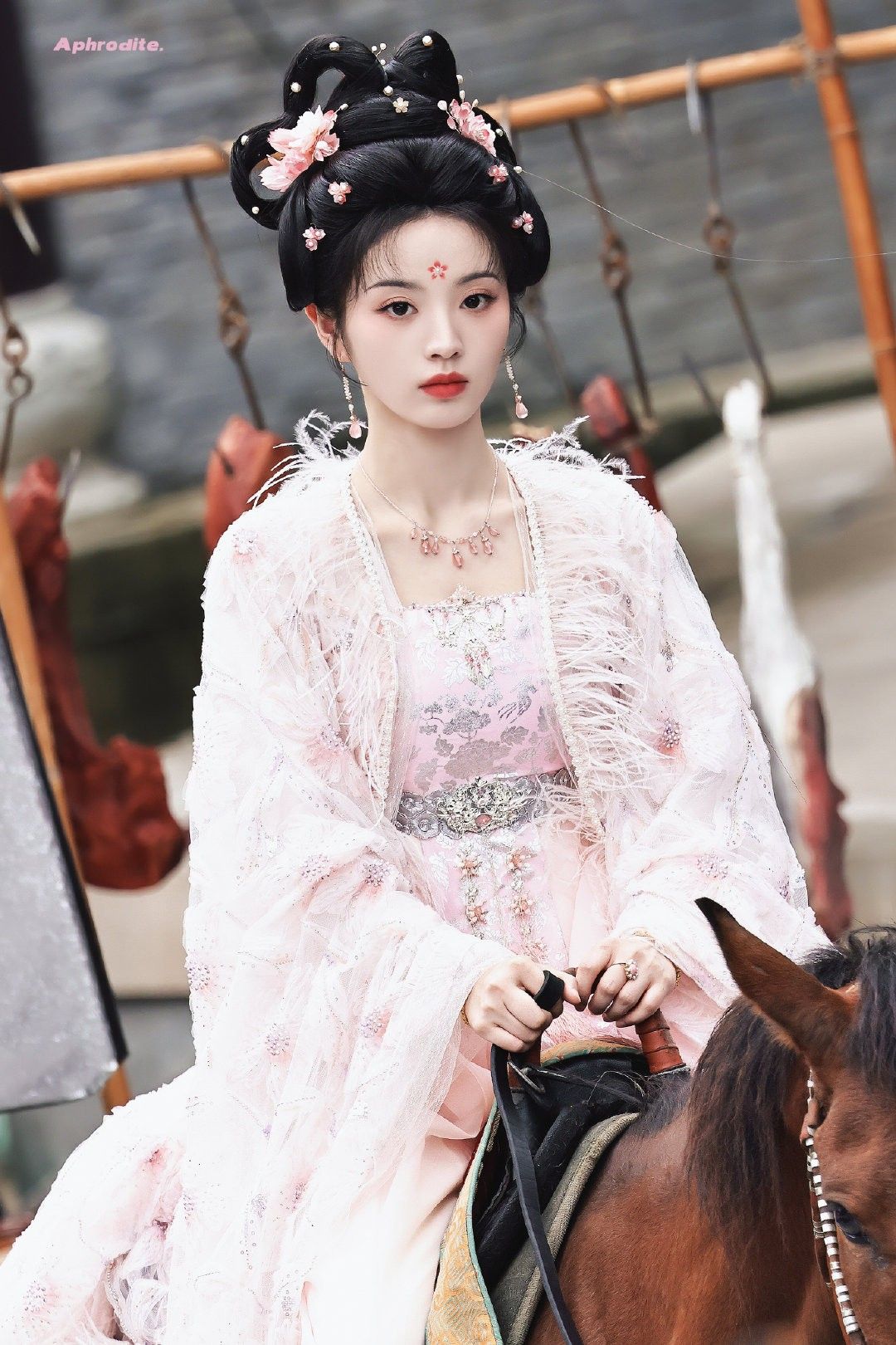 The Rise of Di Ba in the Realm of the Song Dynasty-Style Hanfu with the Long Song of Valor The Rise of Di Ba in the Realm of the Song Dynasty-Style Hanfu with the Long Song of Valor